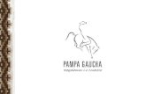 Presentación Pampa Gaucha Linkedin 2015