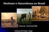 Realismo  e Naturalismo