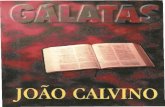 Comentário à Carta aos Gálatas - João Calvino