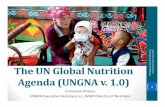 UN Global Nutrition Agenda Presentation