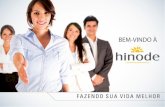 Apresentacao do Negócio Hinode Paulo Gomes