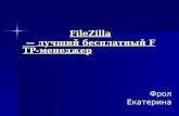 разработка электронного  курса «File zilla »