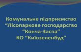 Комунальне підприємство “Лісопаркове господарство “Конча-Заспа”КО “Київзеленбуд”