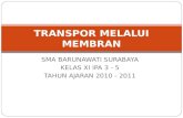 Transpor melalui-membran-1279869645-phpapp01