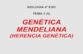 4ºESO: Genetica Mendeliana