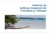 Admira la belleza tropical de Trinidad y Tobago