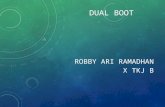 Dualboot robby