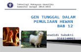 Gen tunggal dlm pemuliaan hewan bab 12