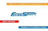 Freesport.cz -  Firemní sportovní akce na klíč, Teambuldingové akce