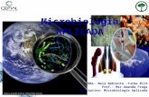 Microbiologia aplicada aula11 ar