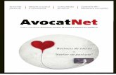 Avocat Net