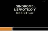 5. Sindrome Nefrotico y Nefritico