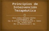 Principios de Intervencion Terapeutica