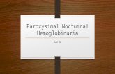 LO 4 Paroxysimal Nocturnal Hemoglobinuria