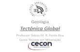 4-Tectônica Global.pdf