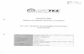 sREI - 990-1039 - Relatório da modelagem do processo automatizado.pdf