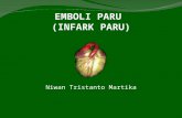 EMBOLI PARU1