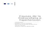 Causas de La Hidrocefalia e Hipertension Endocraneana