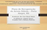 Plano de Recuperação do Arroio Dilúvio – Porto Alegre, RS