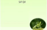 QM - SAP - Definicoes.ppt