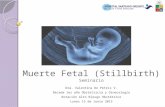 Seminario Muerte Fetal