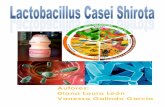 004 Lactobacillus Casei Shirota