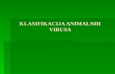 Klasifikacija Animalnih Virusa