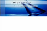 Magnezijum - Hemijske osobine i jedinjenja