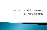 international business environment