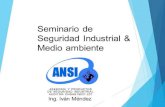 Seminario Seguridad Industrial.pdf
