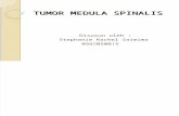 Tumor Medula Spinalis