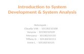 System Development and System Analyst