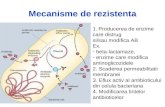 Antibiotice_mecanisme rezistenta