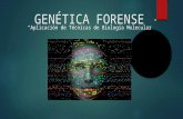 Genetica Forense BM