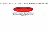Fisiologia de Los Eritrocitos 2012