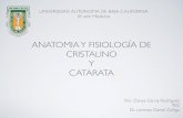 Anatomia Cristalino PDF