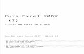 Manual Curs Excel 2007
