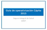Guia Operativizacion Capita 2015