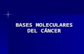 5. Bases Moleculares Del Cancer