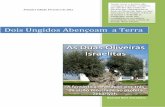 As Duas Oliveiras Israelitas.pdf