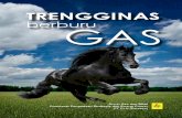 Trengginas Berburu Gas Pln 2013 Lively Rush of Gas