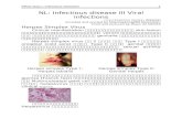 NLME infection3