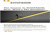 The Answer: Avispador