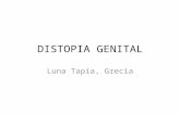 Distopia Genital