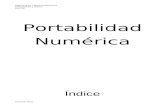 Informe de Portabilidad Numerica 1