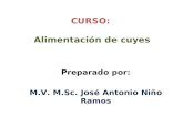 Aliment Cuyes 2015