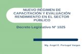 Capacitación, Evaluación y Rendimiento - Mag. Angel Portugal