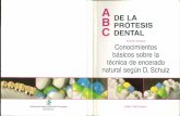 Abcde Las Prote Sis Dent A