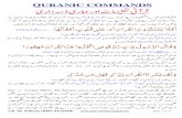 Quranic Commands