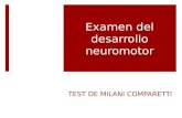Test Milani Comparetti